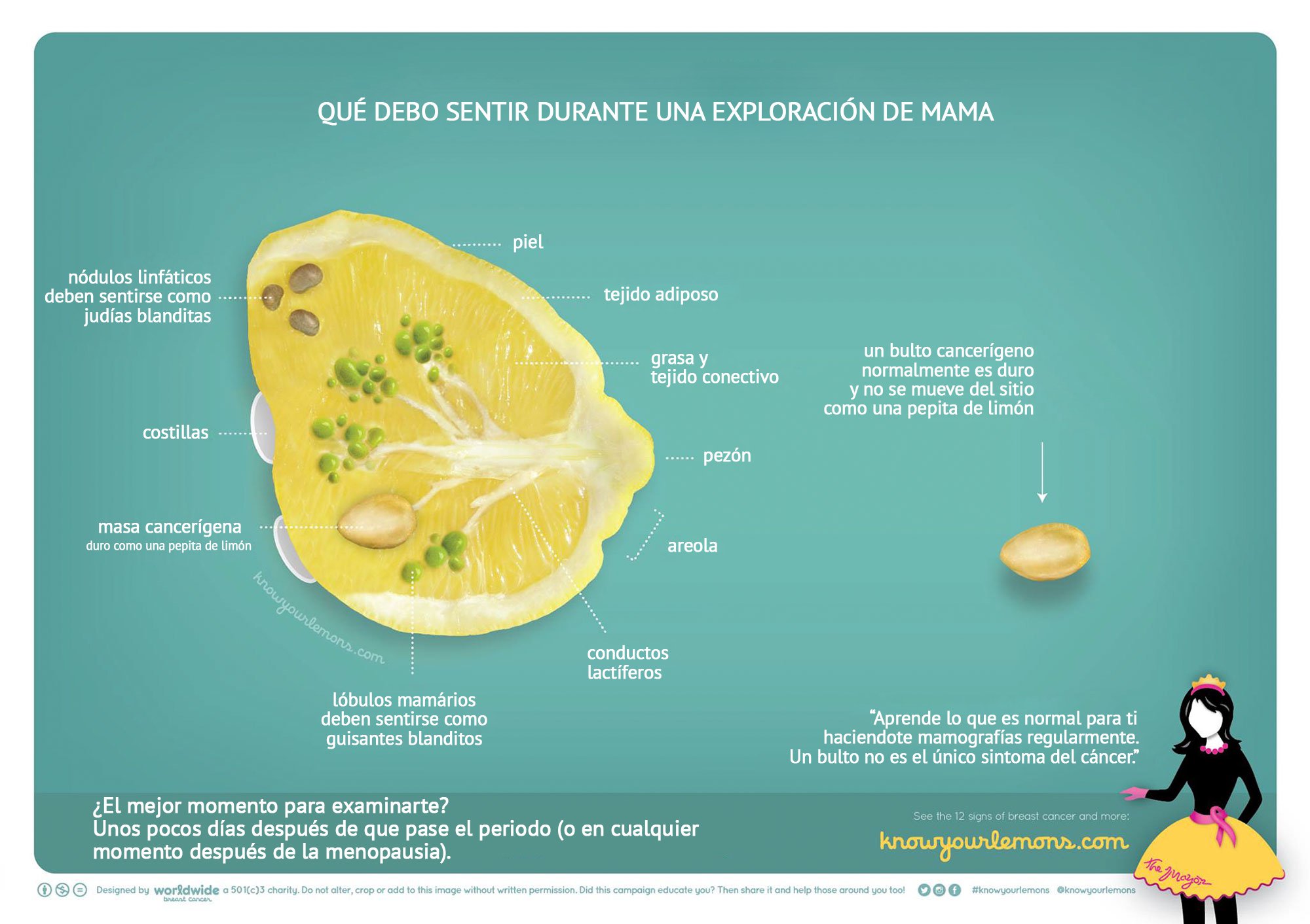 know your lemons 3