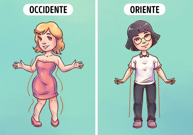 diferencias occor 8