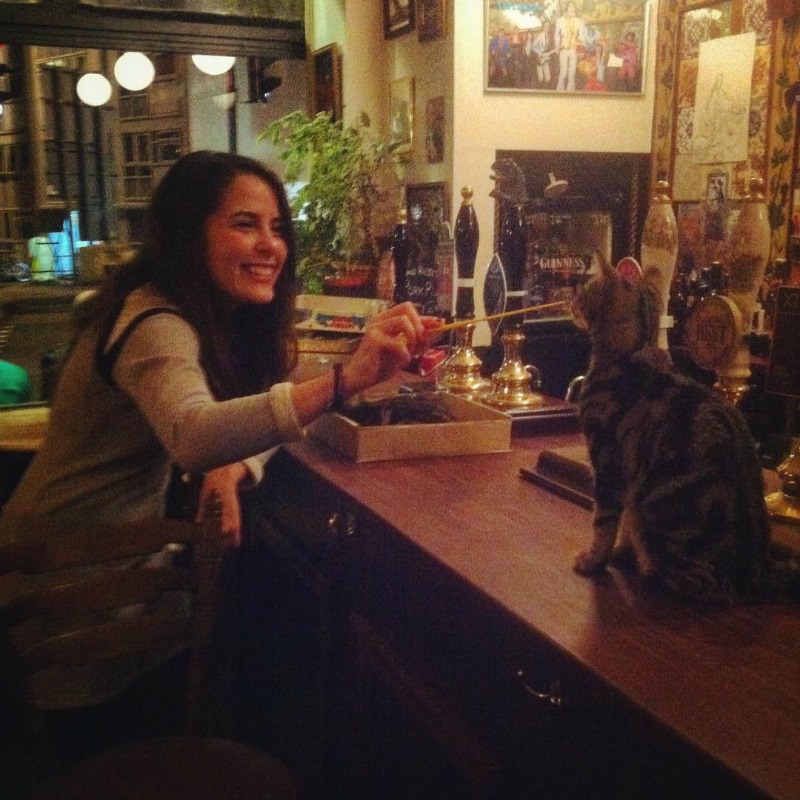 Pub con gatos foto 7