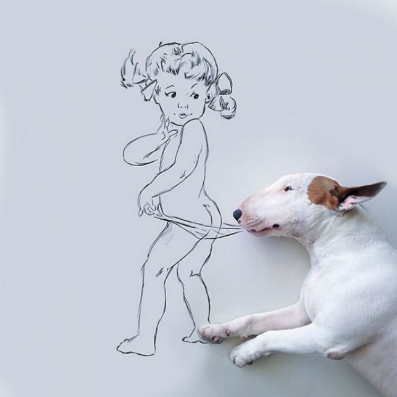 Artista y su perro foto 7