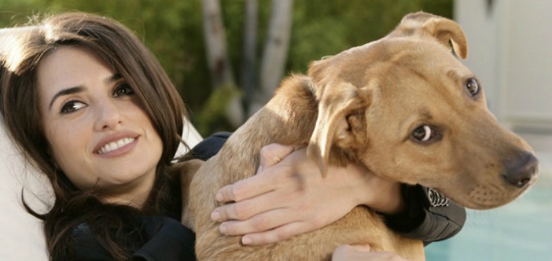 Famosos y sus mascotas foto 19