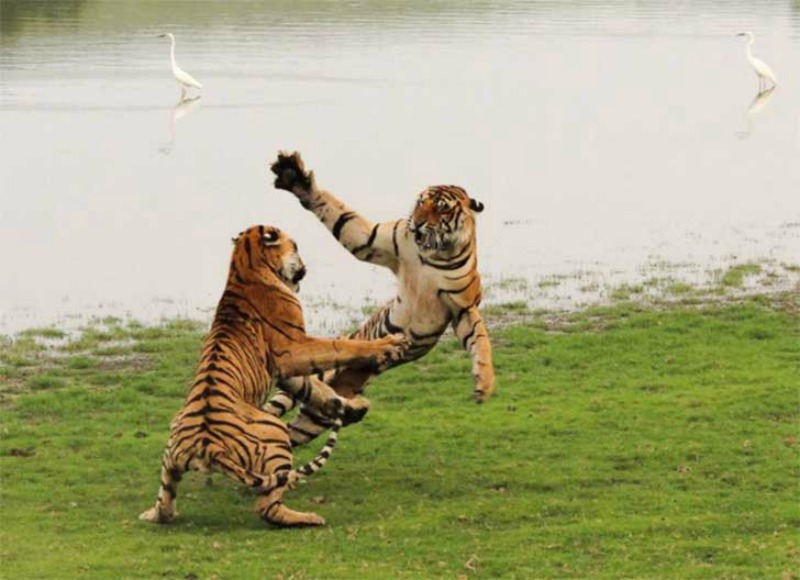 Fotos de National Geographic 12