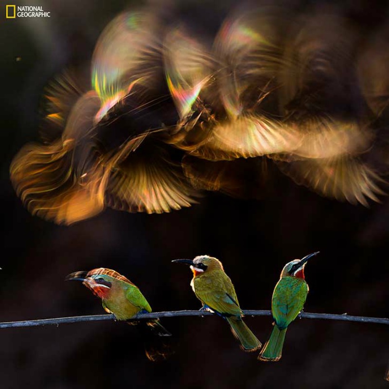 Fotos de National Geographic 15