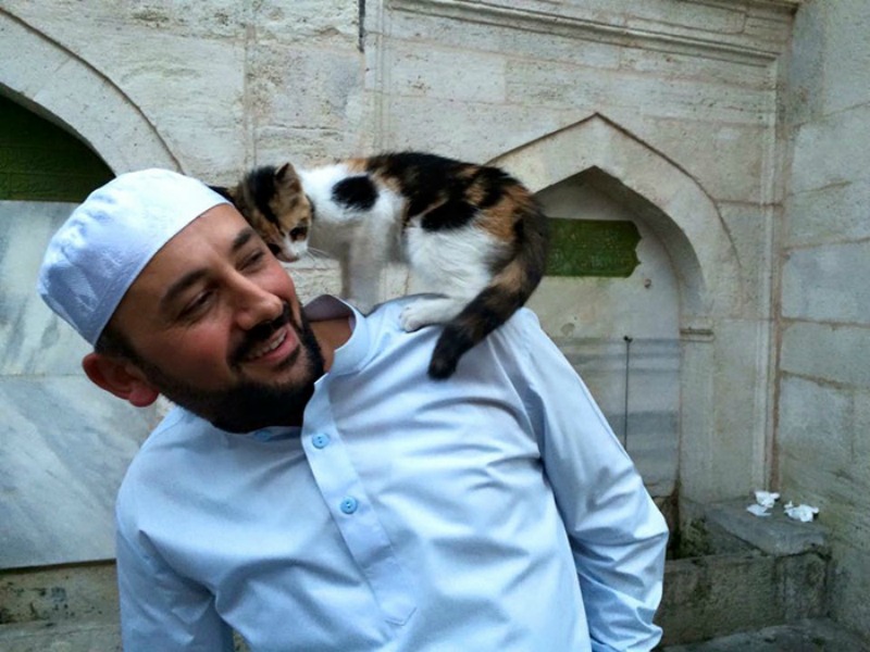 Mezquita alberga gatos foto 2