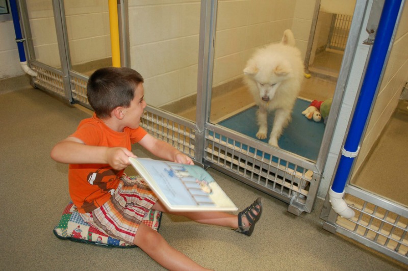 Perros y lectura foto 2