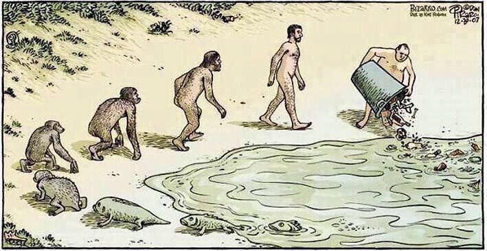 evolucion humanidad 2