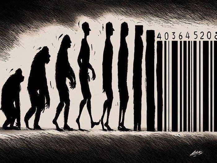 evolucion humanidad 4