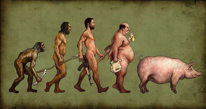 evolucion humanidad 5