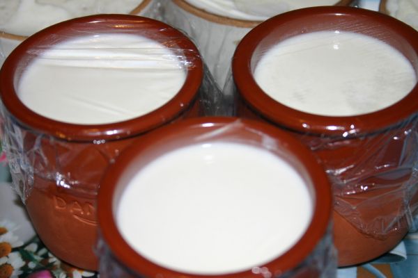 hacer yogur 5