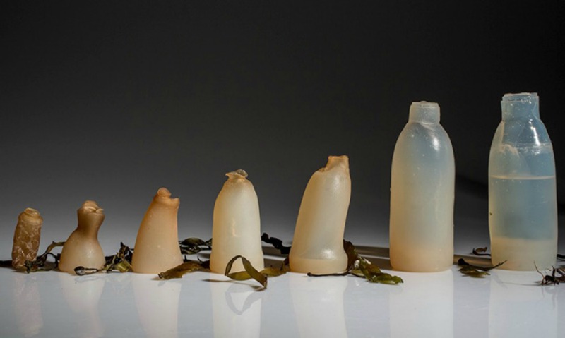 Botellas hechas de algas foto 1