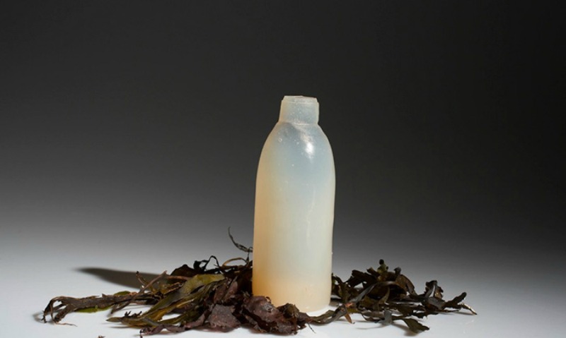 Botellas hechas de algas foto 3