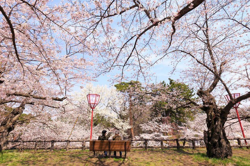 Primavera en Japon foto 11