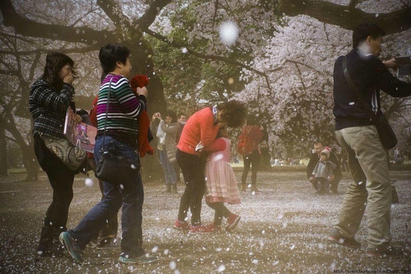 Primavera en Japon foto 15