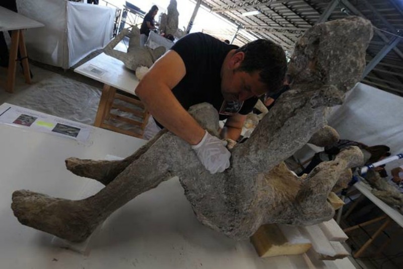A restorer works on a petrified victim of the eruption of Vesuvius volcano in 79 BC, as part of the restoration work and the study of 86 casts in the laboratory of Pompeii Archaeological Site, on May 20, 2015 in Pompeii. AFP PHOTO / MARIO LAPORTA (Photo credit should read MARIO LAPORTA/AFP/Getty Images)