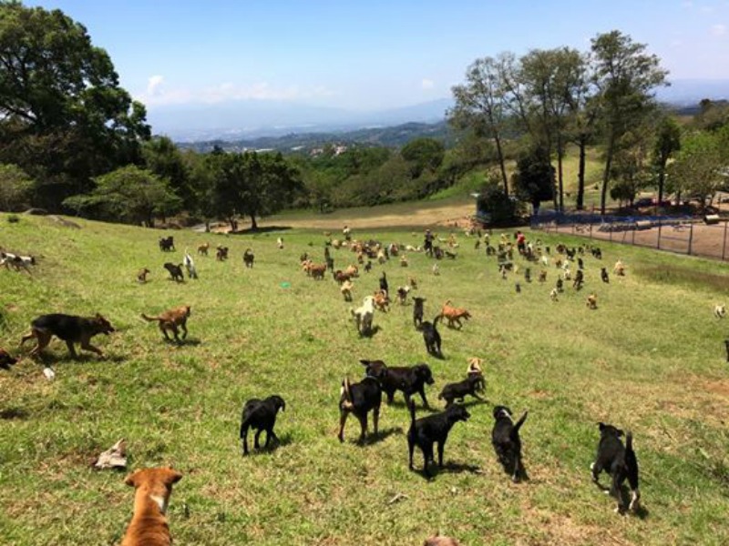 Santuario en Costa Rica 7