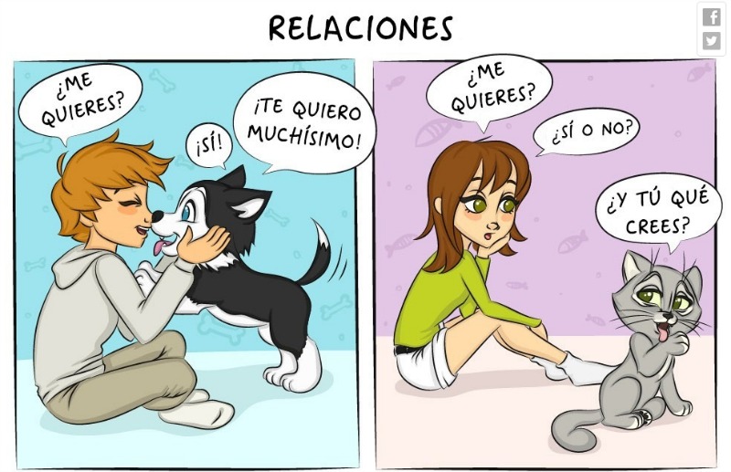 Vivir con un perro o un gato 4