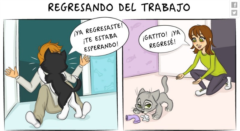 Vivir con un perro o un gato 5