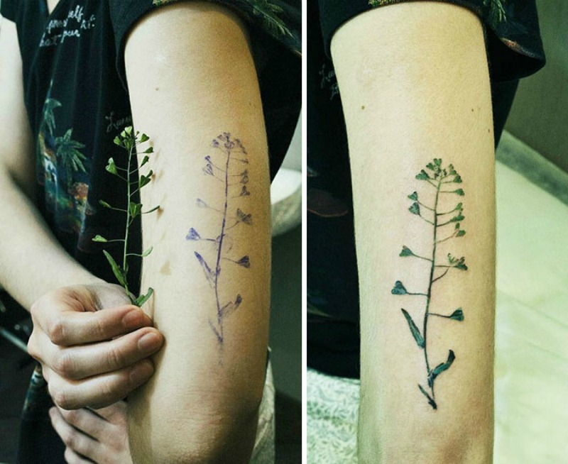Tatuajes botanicos 6