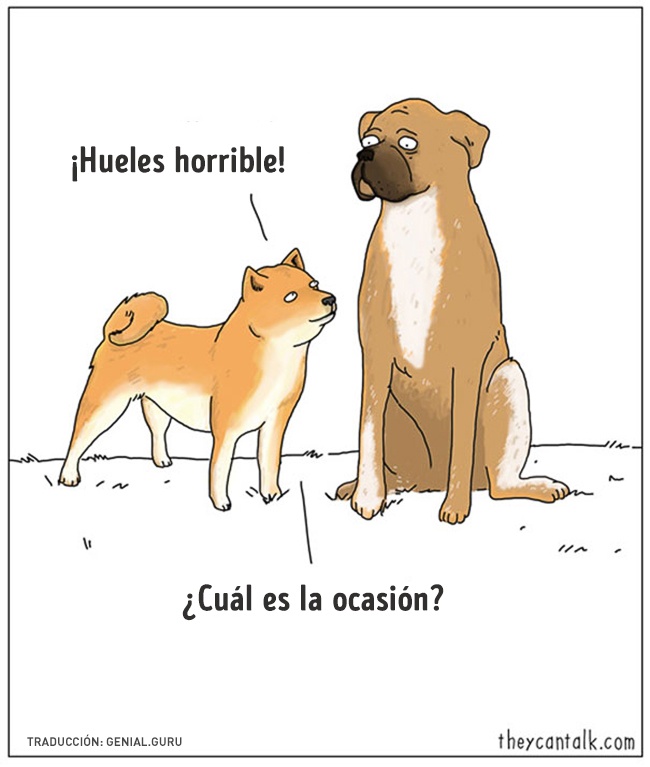 15 comics de animales 12