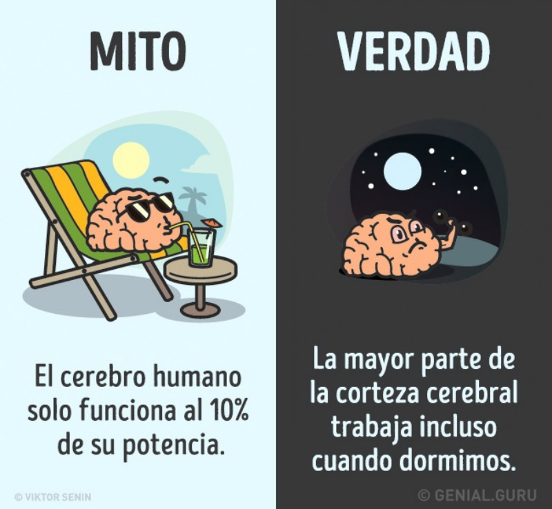 Mitos del cuerpo humano 1