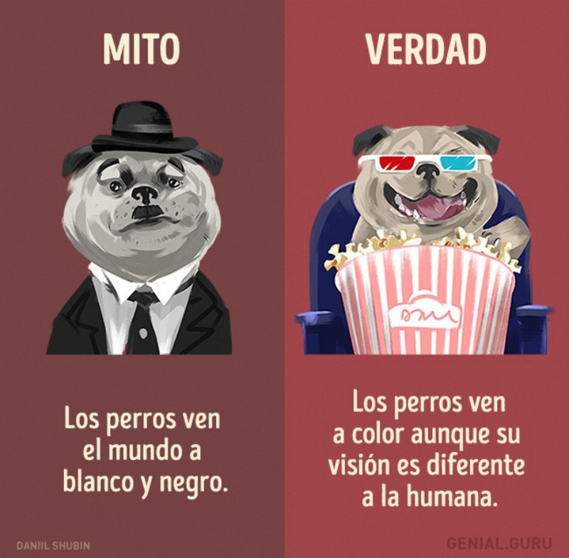 Mitos sobre los animales 1