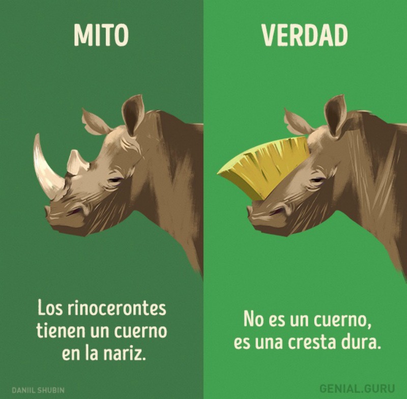 Mitos sobre los animales 10