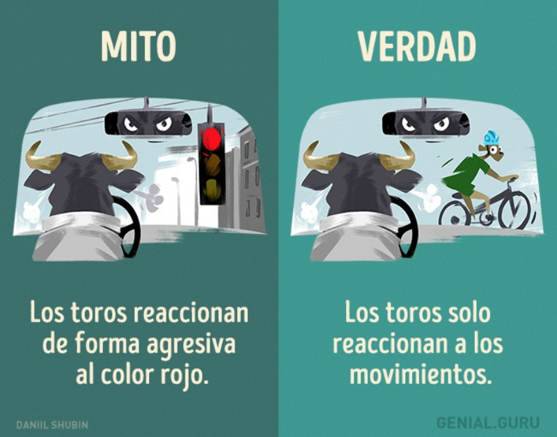 Mitos sobre los animales 2