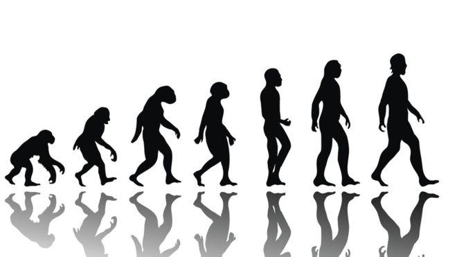 evolucion humana foto1