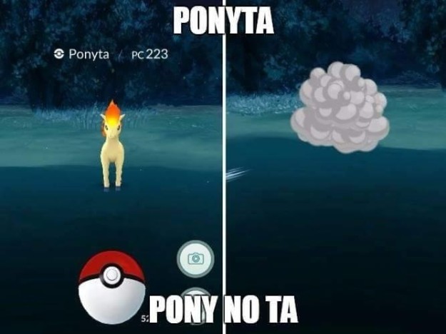 pokemon go foto11