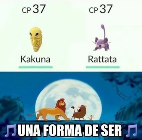 pokemon go foto12