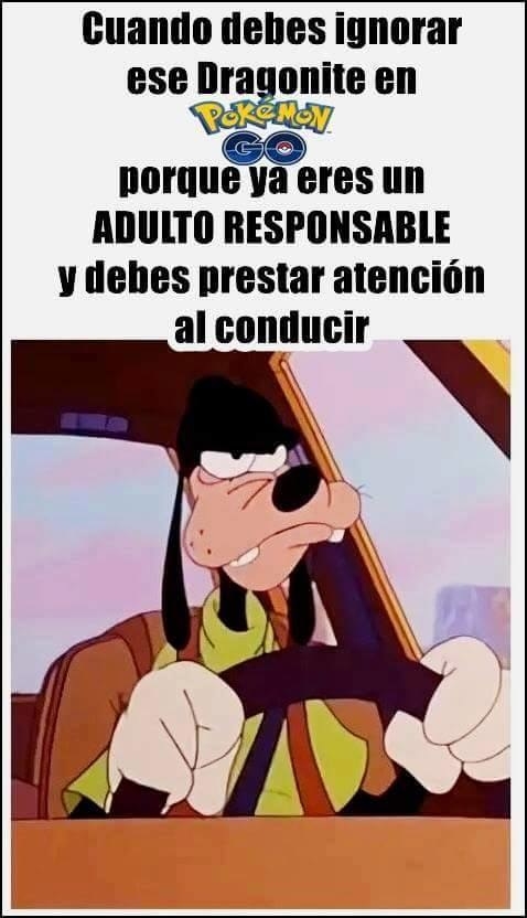 pokemon go foto7