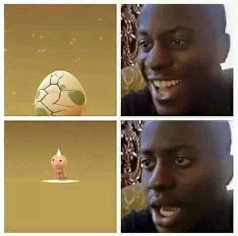 pokemon go foto8