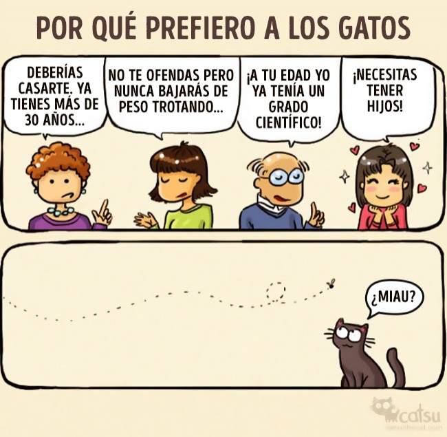 comics-gato-6
