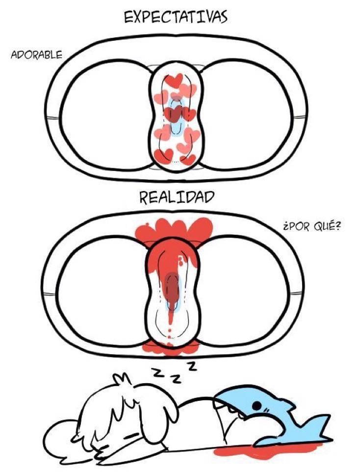 ilustraciones-menstruacion-10
